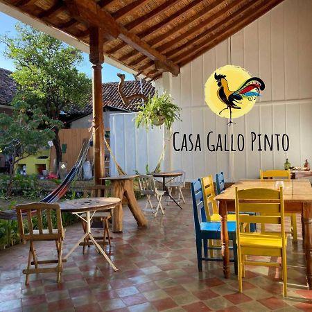 Casa Gallo Pinto Гранада Екстериор снимка